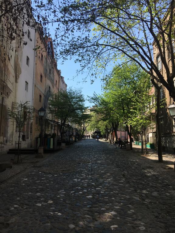 Optimist No.1 Apartman Belgrád Kültér fotó